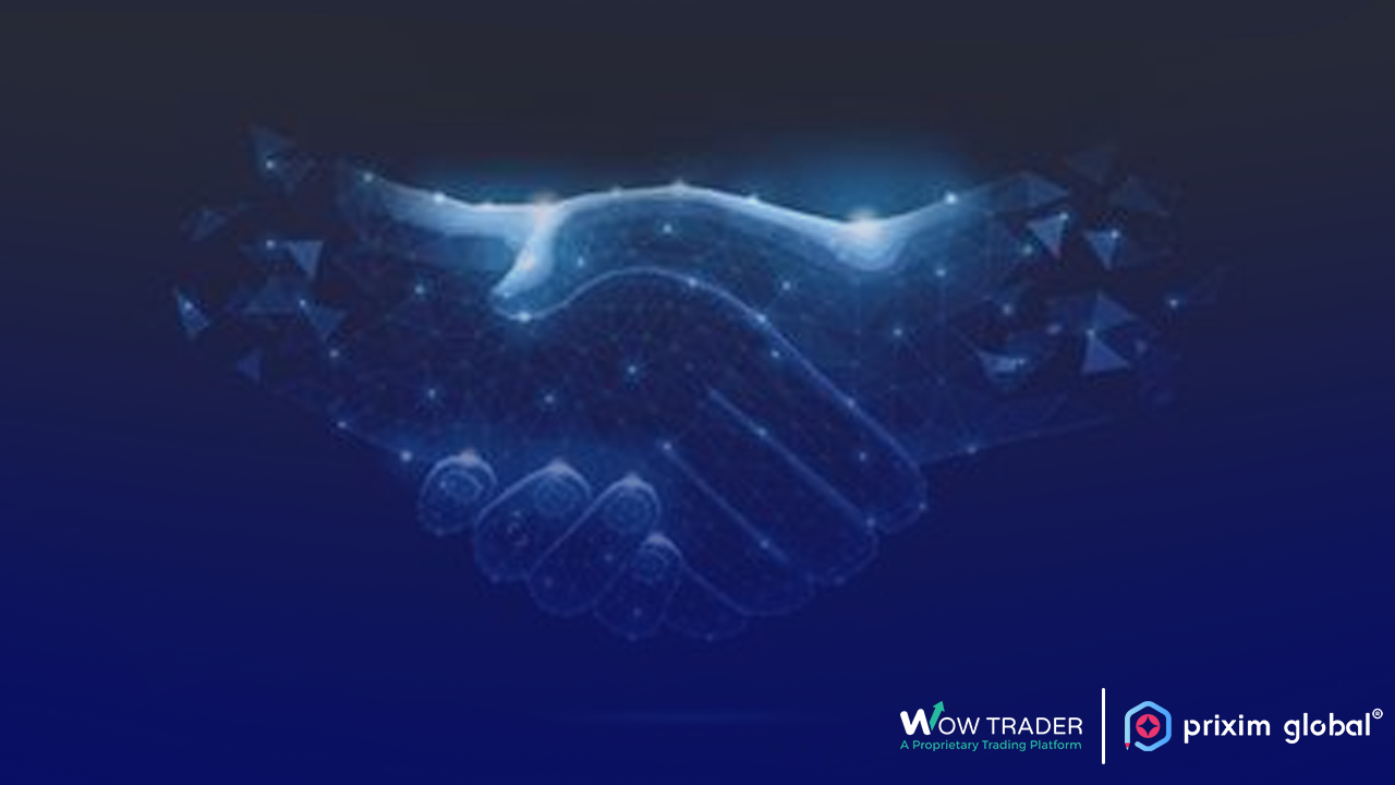 Wow Trader Solutions